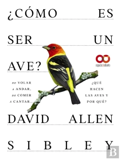 Bertrand.pt - Como Es Ser Un Ave De Volar A Anidar De Comer A Cantar... Q