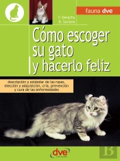 Cómo Escoger Su Gato Y Hacerlo Feliz