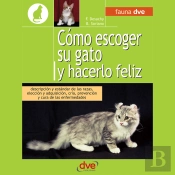 Cómo Escoger Su Gato Y Hacerlo Feliz