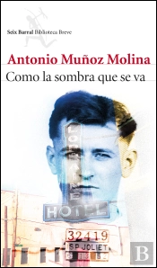 Como La Sombra Que Se Va