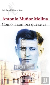 Como La Sombra Que Se Va