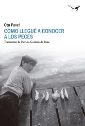 Como Llegue A Conocer A Los Peces
