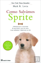 Como Salvámos Sprite