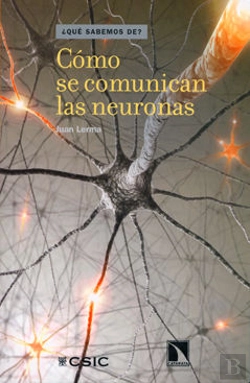 Bertrand.pt - Cómo Se Comunican Las Neuronas