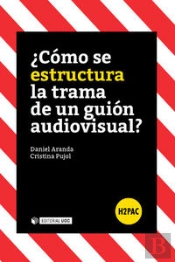 ¿Cómo Se Estructura La Trama De Un Guión Audiovisual?