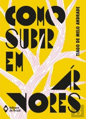Como Subir Em Árvores