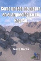 Como Un Ladrón De Piedra En El Arqueológico De Bagdad
