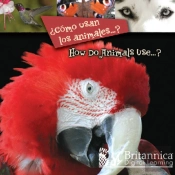 ?Como Usan Los Animales...? (How Do Animals Use...?)