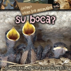 Bertrand.pt - Como Usan Los Animales... Su Boca?