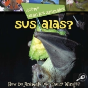 Como Usan Los Animales... Sus Alas?