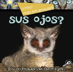 Bertrand.pt - Como Usan Los Animales... Sus Ojos?