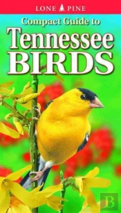 Compact Guide To Tennessee Birds