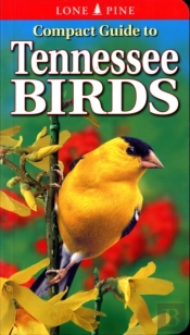 Compact Guide To Tennessee Birds