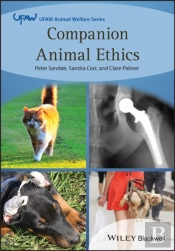 Companion Animal Ethics