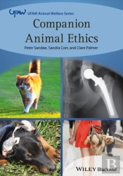 Companion Animal Ethics