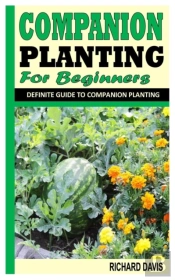 Companion Planting For Beginners