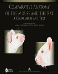 Comparative Anatomy Of The Mouse And The Rat