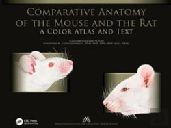 Bertrand.pt - Comparative Anatomy Of The Mouse And The Rat