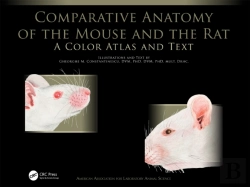 Bertrand.pt - Comparative Anatomy Of The Mouse And The Rat