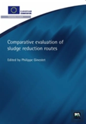 Comparative Evaluation Of Sludge Reduction Routes