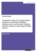 Comparative Study Of Cryptosporidium Infestation In Wild Water Buffaloes (Bubalus Arnee) And Domestic Buffaloes (Bubalus Bubalis) Of Koshi Tappu Wildlife Reserve