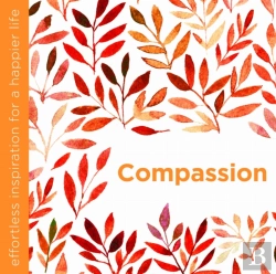 Bertrand.pt - Compassion