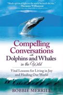 Compelling Conversations With Dolphins And Whales In The Wild