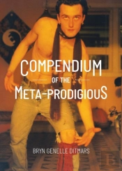 Compendium Of The Meta-Prodigious
