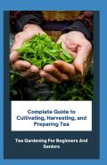 Complete Guide To Cultivating, Harvesting, And Preparing Tea
