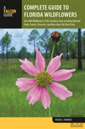 Complete Guide To Florida Wildflowers