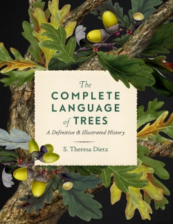 Bertrand.pt - Complete Language Of Trees
