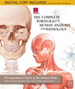 Bertrand.pt - Complete Portfolio Of Human Anatomy & Pathology