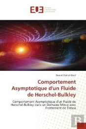 Comportement Asymptotique D'Un Fluide De Herschel-Bulkley - Comportement Asymptotique D'Un Fluide De