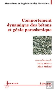 Comportement Dynamique Et Genie Parasismique Du Beton Traite Mim