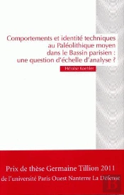Comportements Et Identités Techniques Au Paléolithique Moyen ; Une Question D'Échelle ?