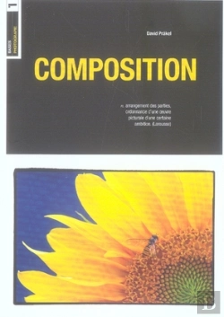 Bertrand.pt - Composition ; Les Bases De La Photographie