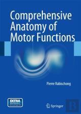 Comprehensive Anatomy Of Motor Functions