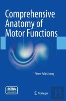 Comprehensive Anatomy Of Motor Functions