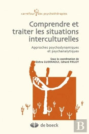 Comprendre Et Traiter Les Situations Interculturelles Approches Psychodynamiques Et Psychanalytiques