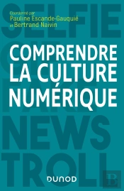 Comprendre La Culture Numérique