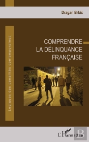 Comprendre La Délinquance Francaise