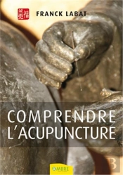 Comprendre L'Acupuncture