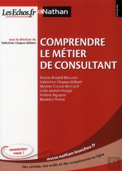 Bertrand.pt - Comprendre Le Métier De Consultant (Édition 2011)