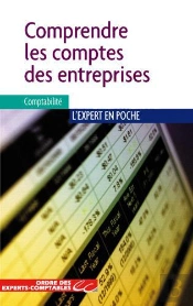 Comprendre Les Comptes Des Entreprises (2e Édition)