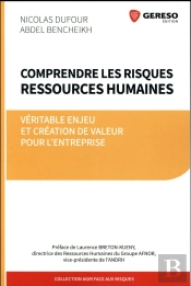 Comprendre Les Risques Ressources Humaines
