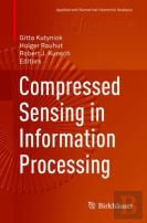 Compressed Sensing In Information Processing
