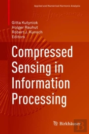 Compressed Sensing In Information Processing