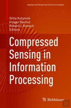 Bertrand.pt - Compressed Sensing In Information Processing