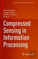 Compressed Sensing In Information Processing