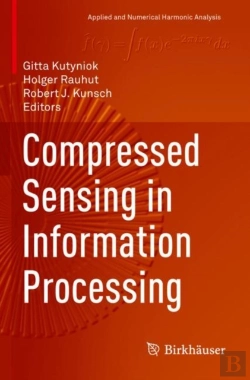 Bertrand.pt - Compressed Sensing In Information Processing
